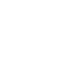 VYNEX